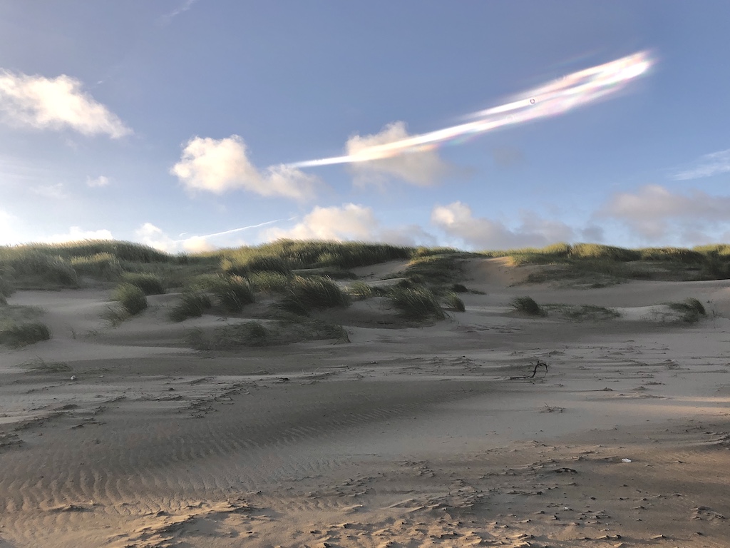 Windswept sand dunes in early morning light, topped with beachgrass.
