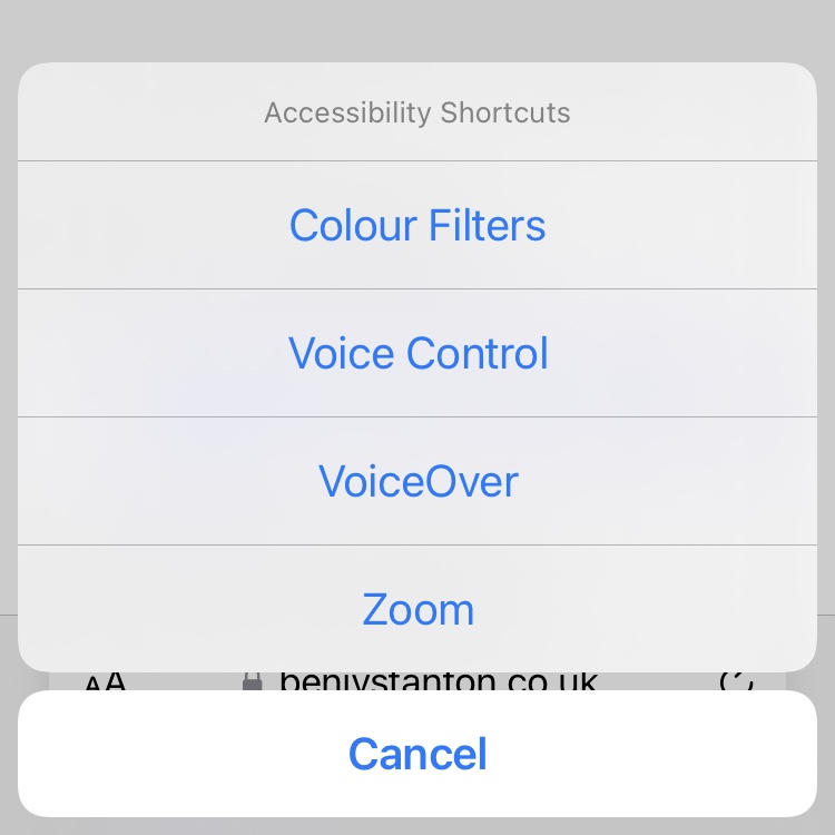 iPhone screenshot showing accessiblity shorcuts: Colour Filters, Voice Control, VoiceOver and Zoom are listed.