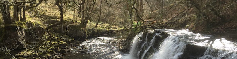 One of the many waterfalls we saw