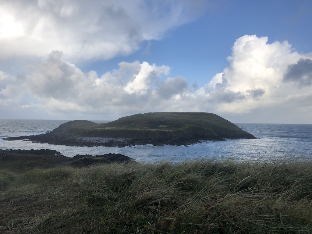 A small island in the distance surrounded by choppy seas. Long dune grass in the foreground is being blown sideways by the wind.