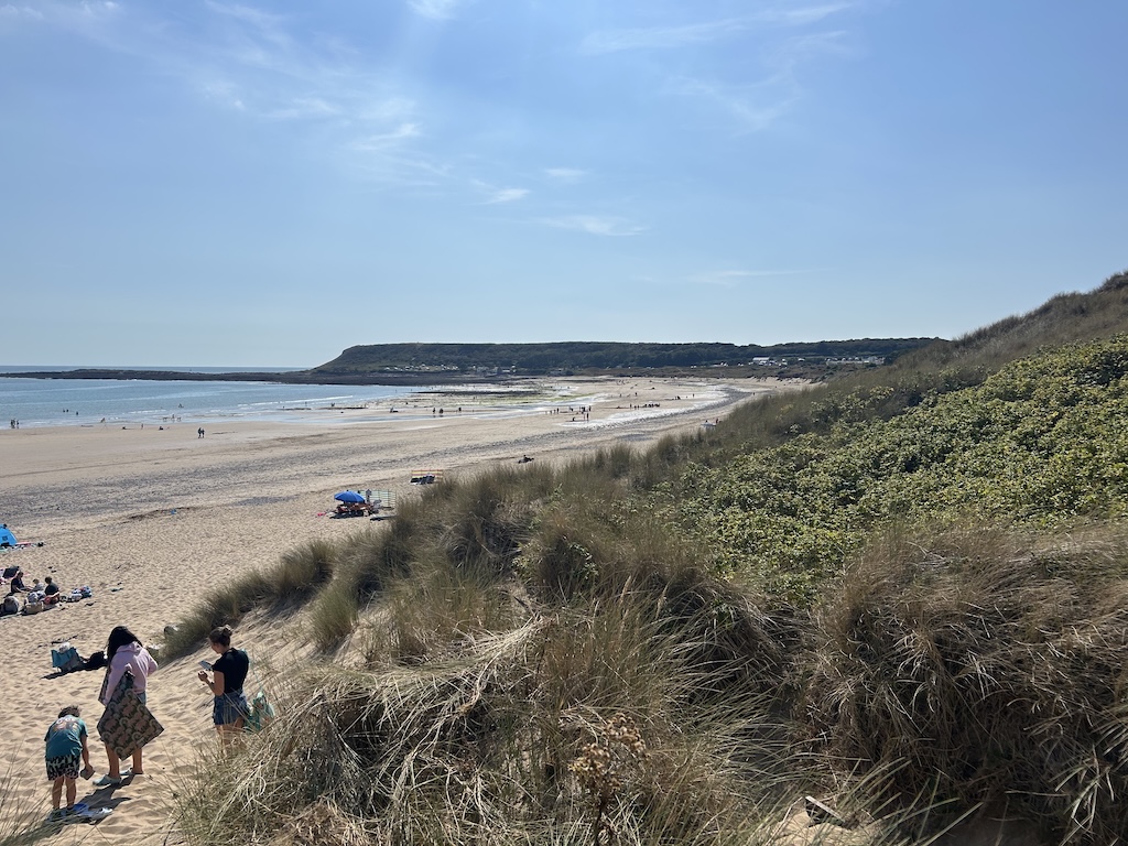 A large, sandy beach dotted with families, with dunes and vegetation in the foreground.